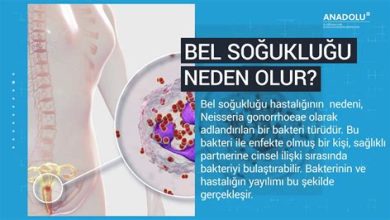 Bel Soğukluğu (Gonore) Nedir? Belirtileri ve Tedavi Yöntemleri Nelerdir?