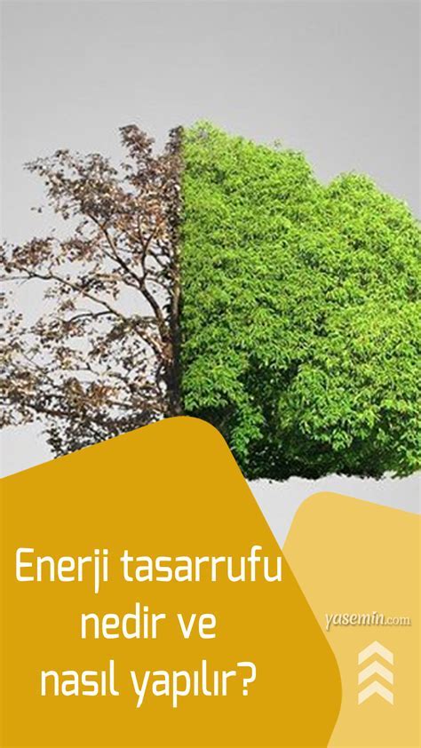 Enerji Tasarrufu Yapmanın Yolları