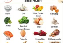 Bağışıklık Sistemini Güçlendiren Besinler